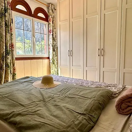 Willa Family & Cowork Chill House *